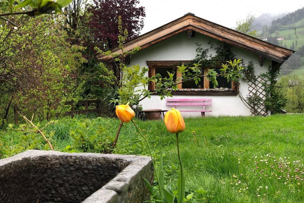 Zuhaus Schernfeichten Kitzbühel Extérieur photo